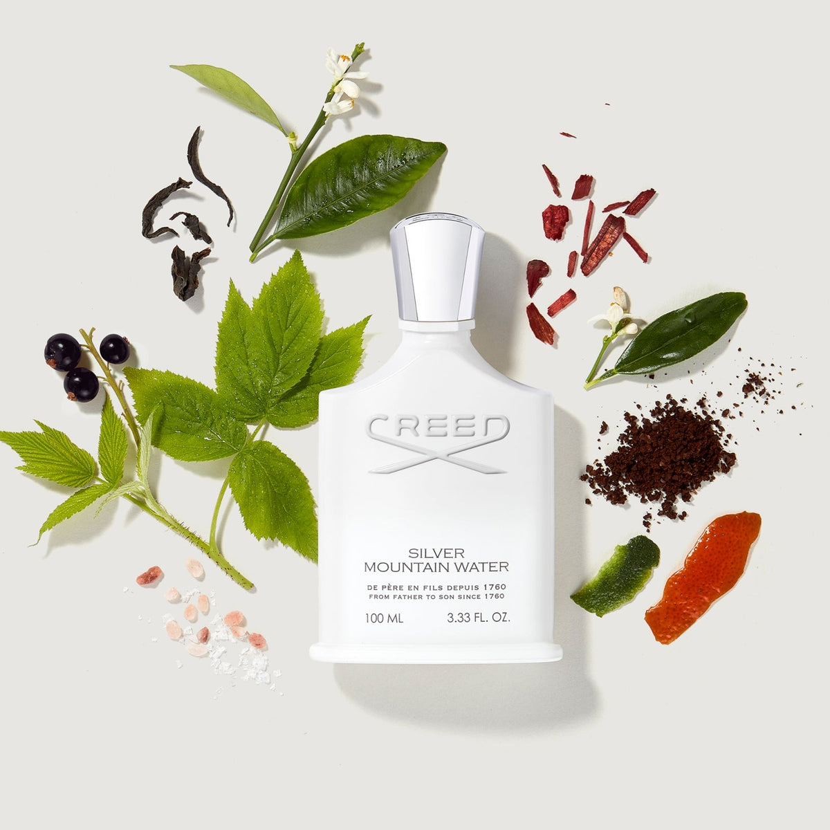 Creed Silver Mountain Water visuel 4