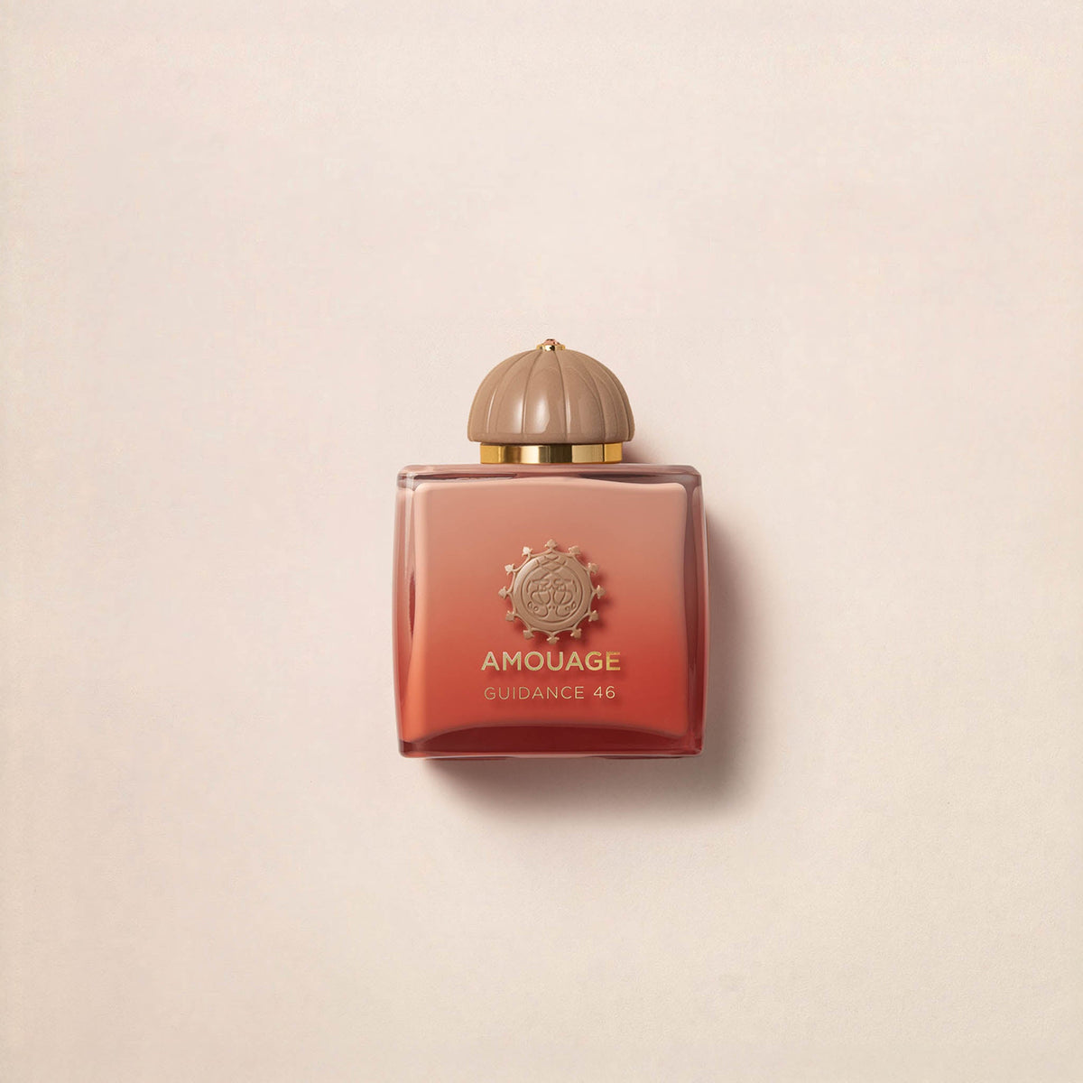Amouage Guidance 46 100 ml