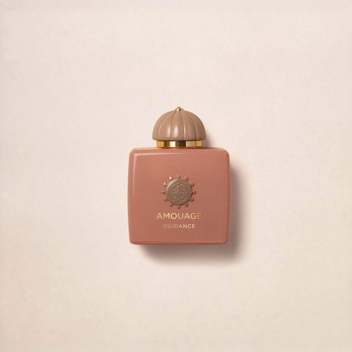 Amouage Guidance 100 ml