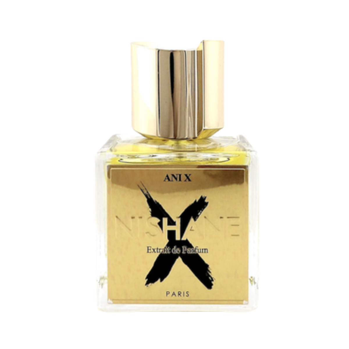 Nishane Ani X 100 ml