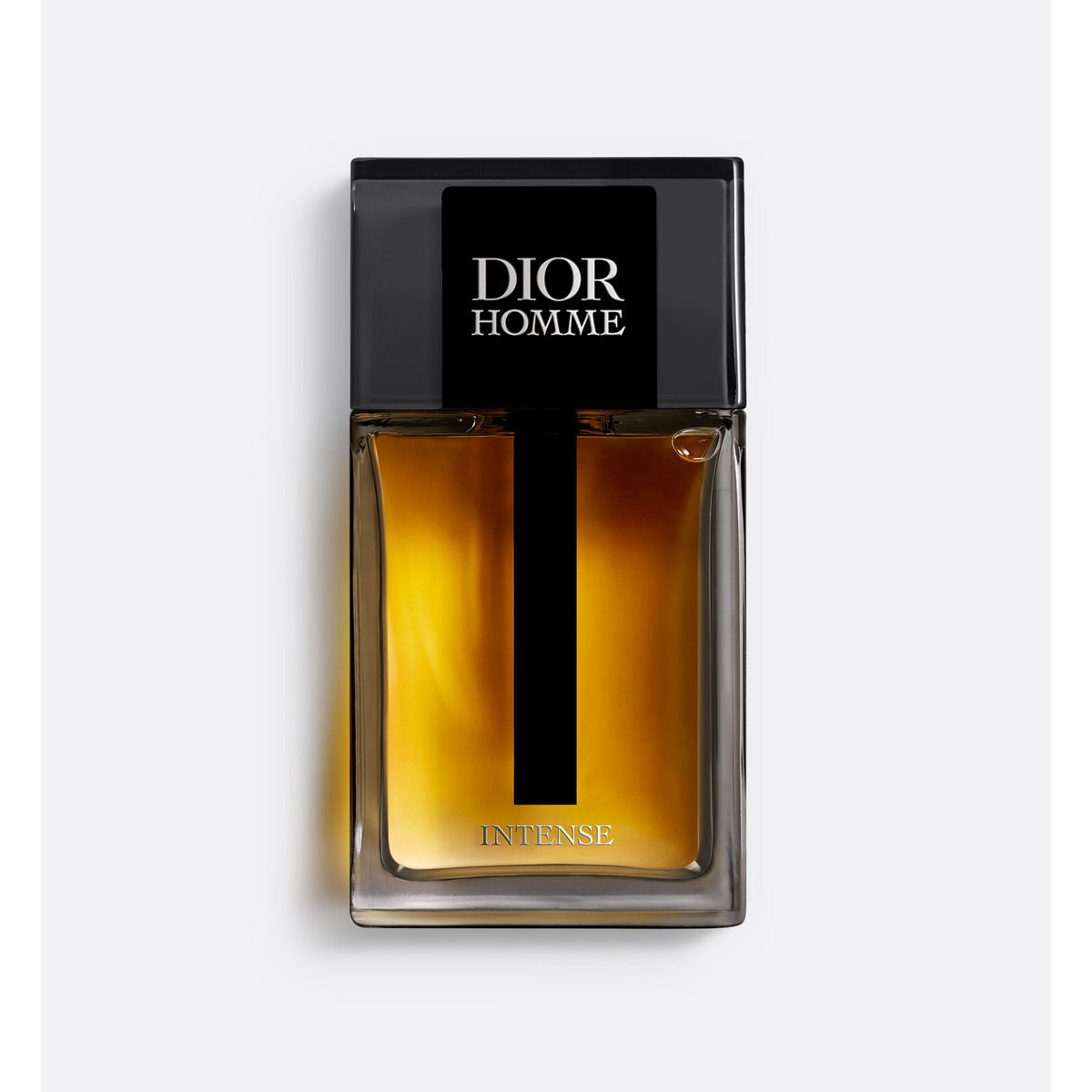 Dior Homme Intense EDP visuel 2