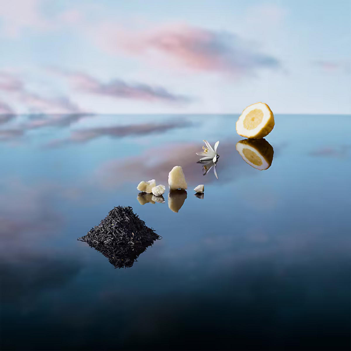 Louis Vuitton Imagination