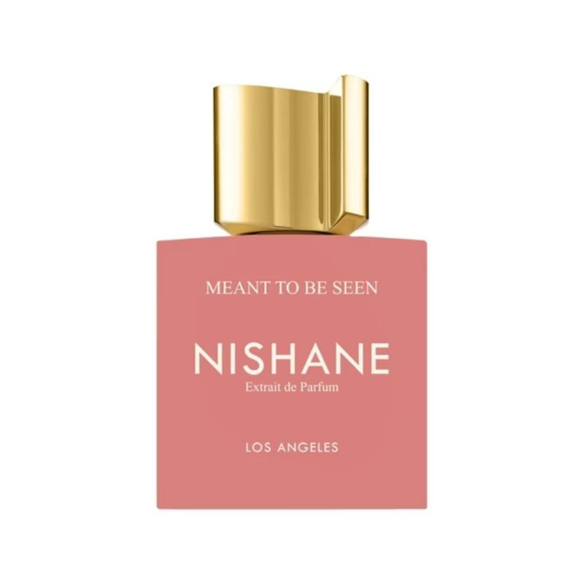 Nishane Meant To Be Seen 50 ml
